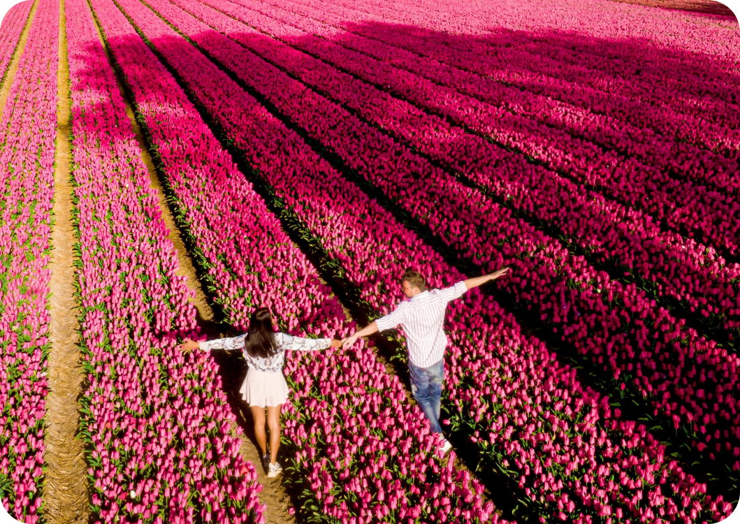 Telefy eSIM in Netherlands